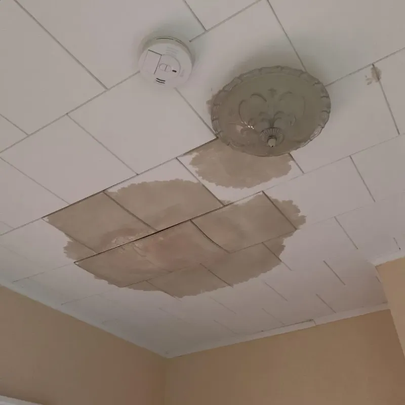 Ceiling Water Damage Repair in Huron County, OH