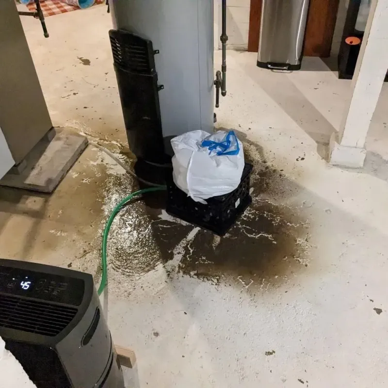 Sewage Backup Cleanup Service in Huron County, OH
